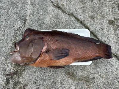 渡船民宿倉の下の2025年10月4日(土)1枚目の写真