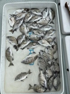 金丸渡船の2025年10月8日(水)1枚目の写真