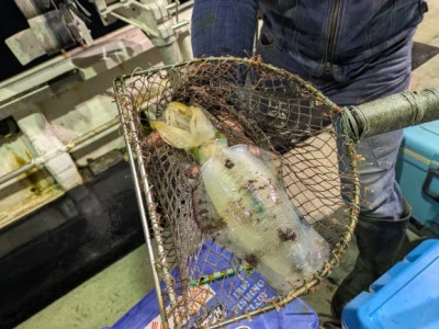 吉栄丸の2025年10月10日(金)2枚目の写真