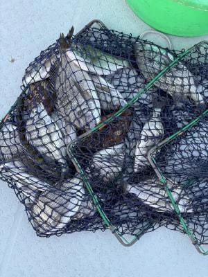 金丸渡船の2025年10月11日(土)3枚目の写真