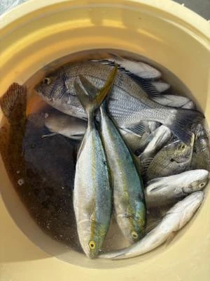 金丸渡船の2025年10月11日(土)5枚目の写真