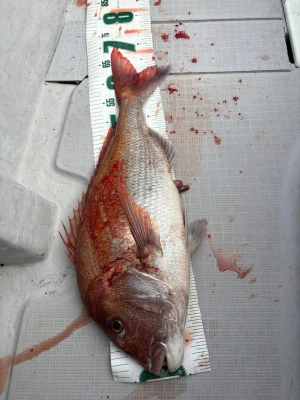 第二宝運丸の2025年10月12日(日)5枚目の写真