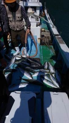 紀丸の2025年10月12日(日)1枚目の写真