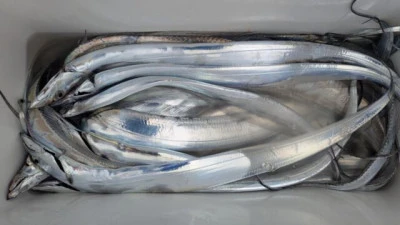 優誠丸の2025年10月12日(日)1枚目の写真