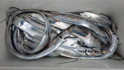 優誠丸の2025年10月12日(日)2枚目の写真