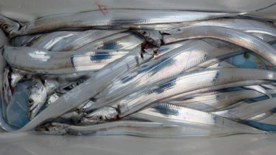 優誠丸の2025年10月12日(日)3枚目の写真