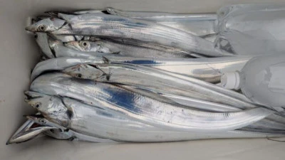 優誠丸の2025年10月11日(土)4枚目の写真