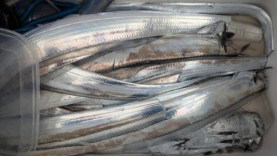 優誠丸の2025年10月11日(土)5枚目の写真