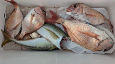 優誠丸の2025年10月10日(金)2枚目の写真