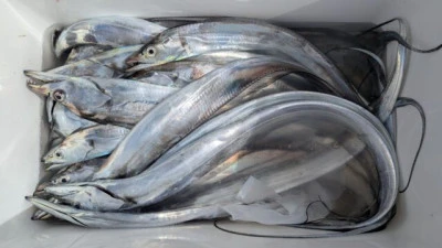 優誠丸の2025年10月8日(水)1枚目の写真