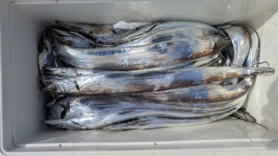 優誠丸の2025年10月8日(水)2枚目の写真