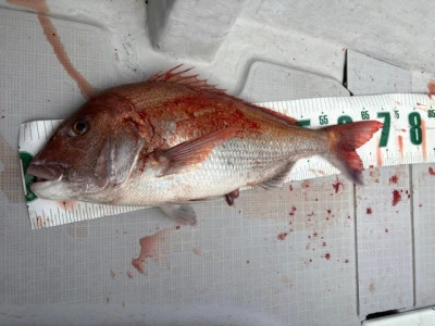 第二宝運丸の2025年10月13日(月)5枚目の写真