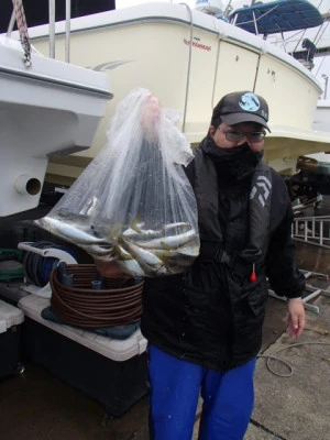 村井丸の2025年10月13日(月)3枚目の写真