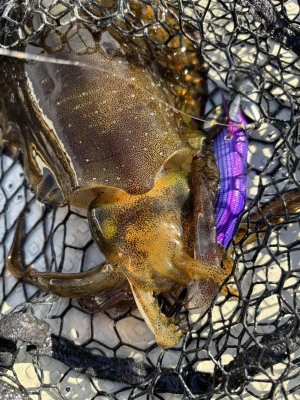 遊漁船響の2025年10月11日(土)1枚目の写真