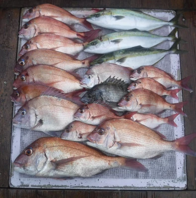 敏栄丸の2025年10月11日(土)1枚目の写真