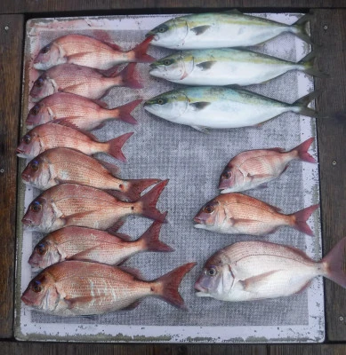 敏栄丸の2025年10月11日(土)2枚目の写真