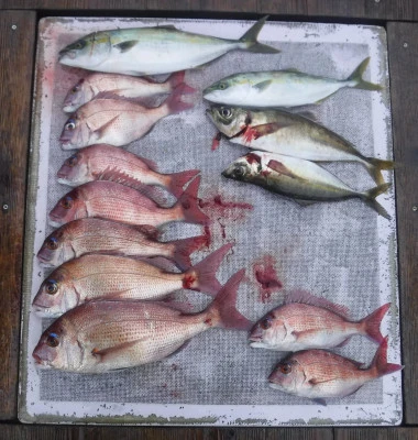 敏栄丸の2025年10月11日(土)3枚目の写真