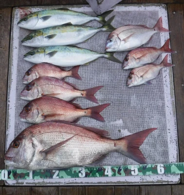 敏栄丸の2025年10月10日(金)2枚目の写真