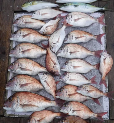 敏栄丸の2025年10月10日(金)3枚目の写真