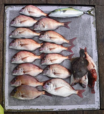 敏栄丸の2025年10月7日(火)1枚目の写真