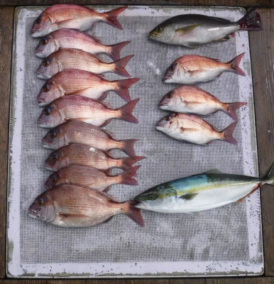 敏栄丸の2025年10月7日(火)2枚目の写真