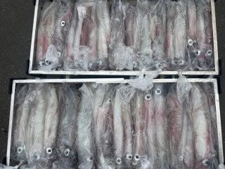 博栄丸の2025年10月16日(木)2枚目の写真