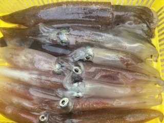 博栄丸の2025年10月16日(木)3枚目の写真