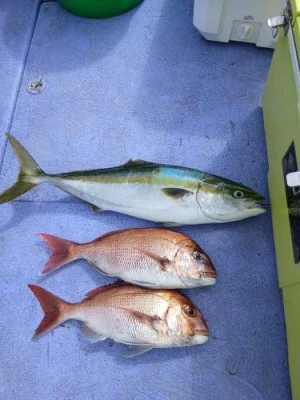 美喜丸の2025年9月20日(土)1枚目の写真