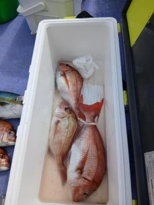 美喜丸の2025年9月20日(土)2枚目の写真