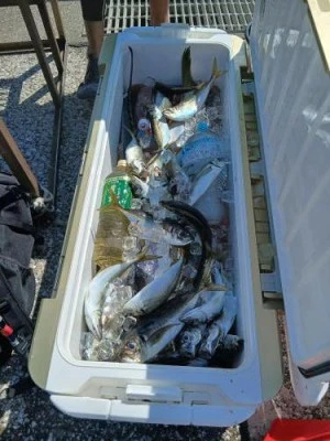 美喜丸の2025年9月26日(金)2枚目の写真