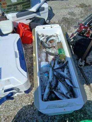 美喜丸の2025年9月26日(金)3枚目の写真