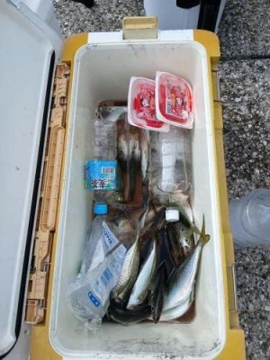 美喜丸の2025年9月27日(土)2枚目の写真