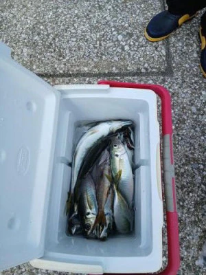 美喜丸の2025年9月27日(土)3枚目の写真