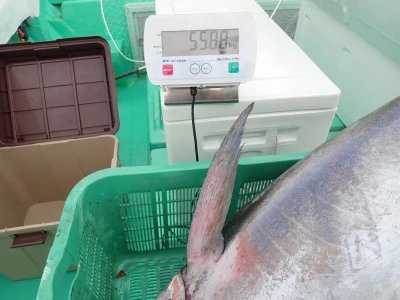 安延遊漁　建鳳丸の2025年10月18日(土)4枚目の写真