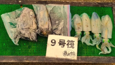 三重外湾漁協 錦事業所直営 釣り筏の2025年10月19日(日)2枚目の写真