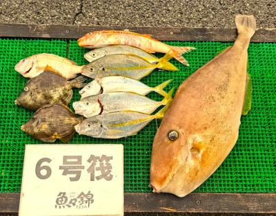 三重外湾漁協 錦事業所直営 釣り筏の2025年10月18日(土)1枚目の写真