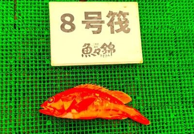 三重外湾漁協 錦事業所直営 釣り筏の2025年10月18日(土)2枚目の写真