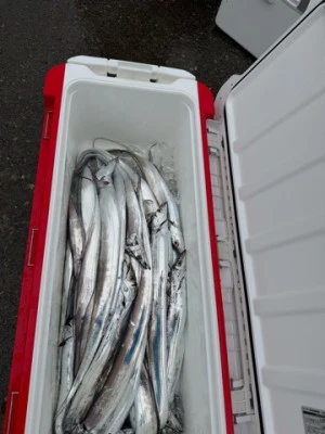 MISTERこーじの2025年10月18日(土)1枚目の写真