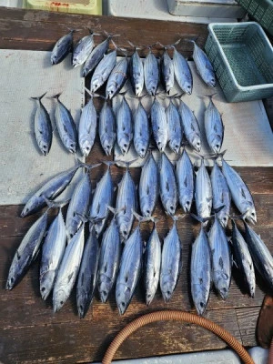 小海途の2025年10月20日(月)1枚目の写真