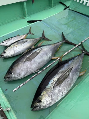 安延遊漁　建鳳丸の2025年10月22日(水)4枚目の写真