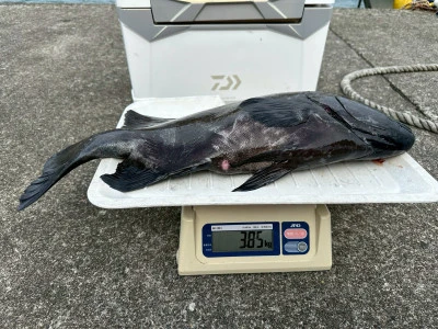 渡船民宿倉の下の2025年10月19日(日)2枚目の写真