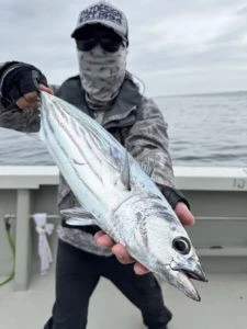 ZEST号の2025年10月18日(土)4枚目の写真