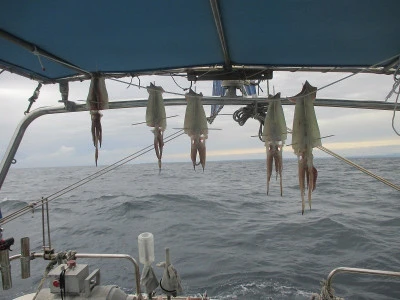 隆星丸の2025年10月19日(日)3枚目の写真