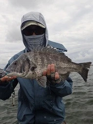 村櫛フィッシング沖の2025年10月19日(日)5枚目の写真