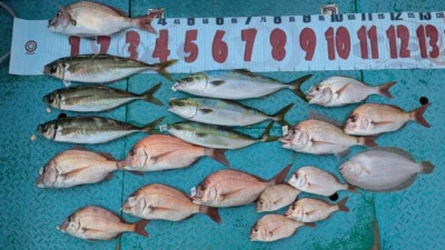 優誠丸の2025年10月18日(土)1枚目の写真