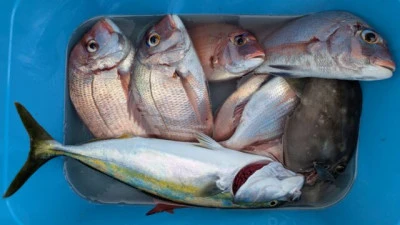 優誠丸の2025年10月18日(土)3枚目の写真