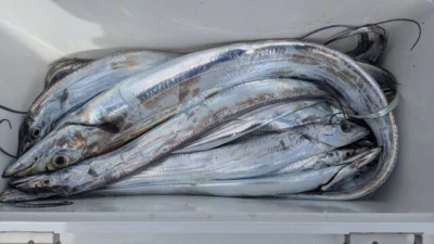 優誠丸の2025年10月19日(日)1枚目の写真