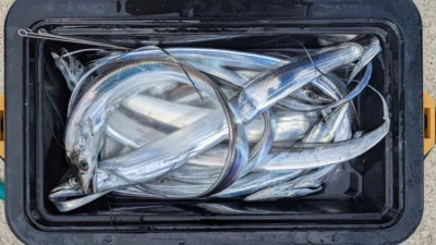 優誠丸の2025年10月19日(日)3枚目の写真