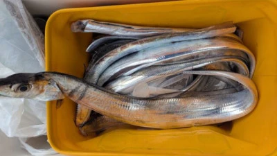 優誠丸の2025年10月19日(日)4枚目の写真