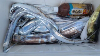 優誠丸の2025年10月20日(月)2枚目の写真